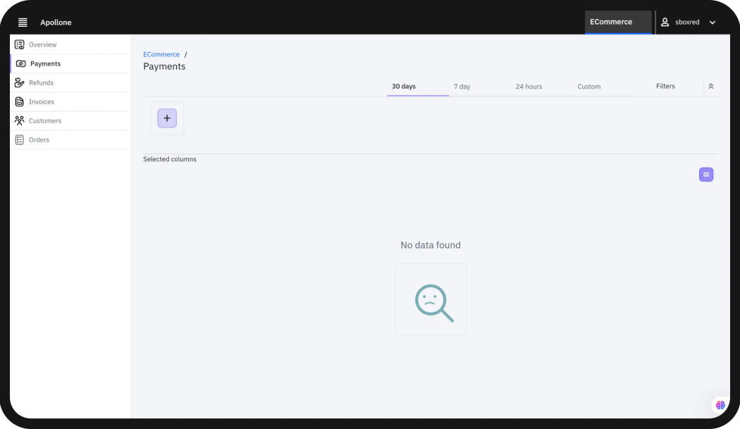payment processing screenshot